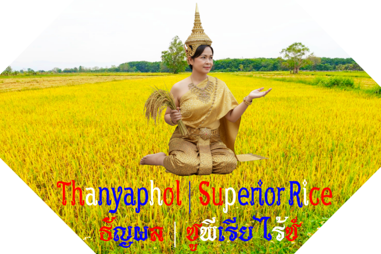 thai-traders-group- thanyaphol- superior-rice